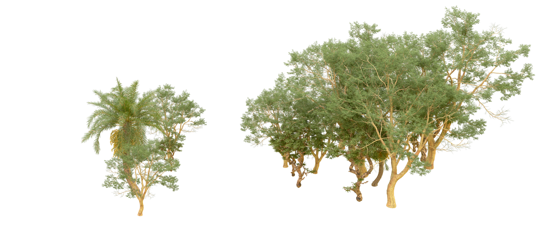 Green forest isolated on background. 3d rendering - illustration png