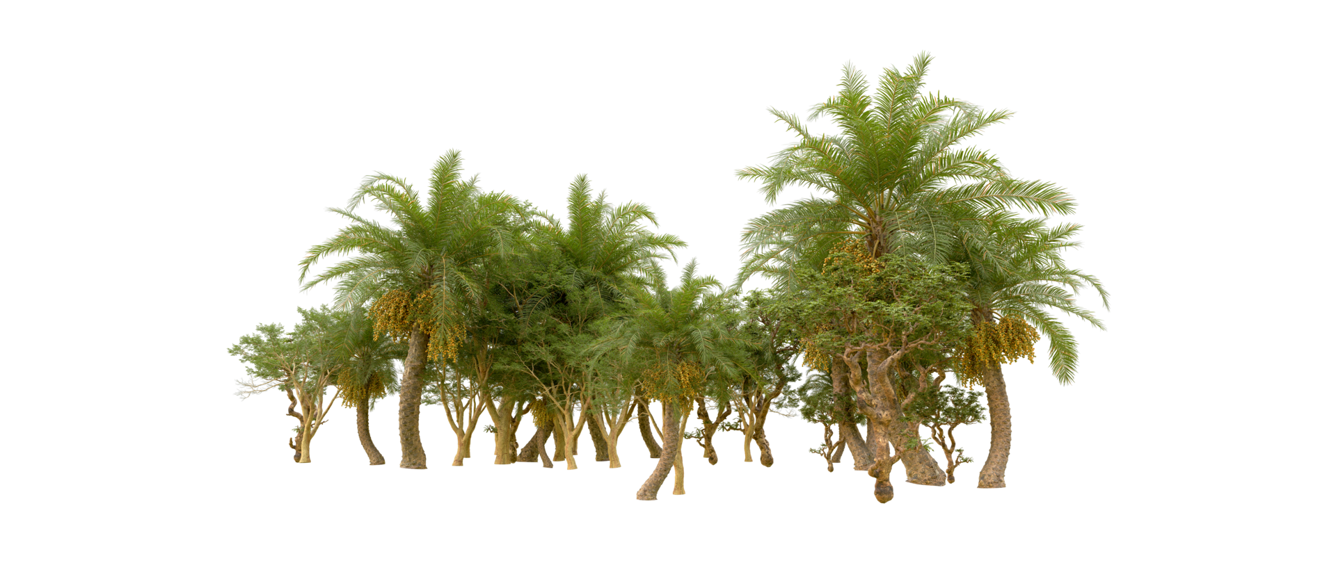 Green forest isolated on background. 3d rendering - illustration png