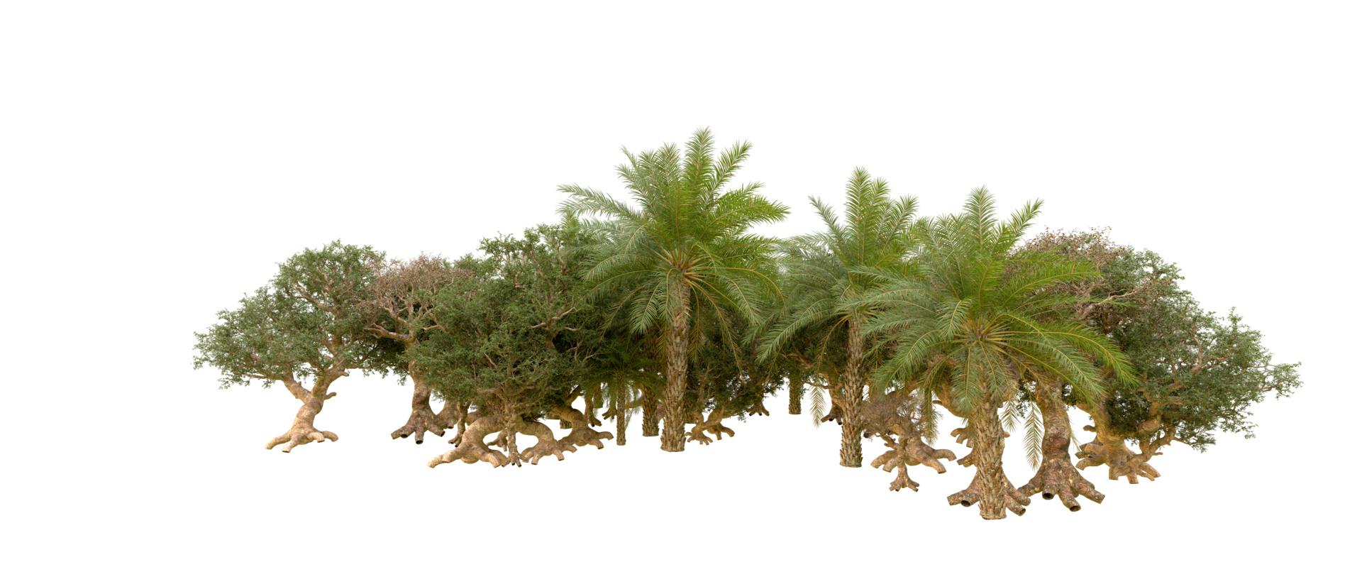 Green forest isolated on background. 3d rendering - illustration png