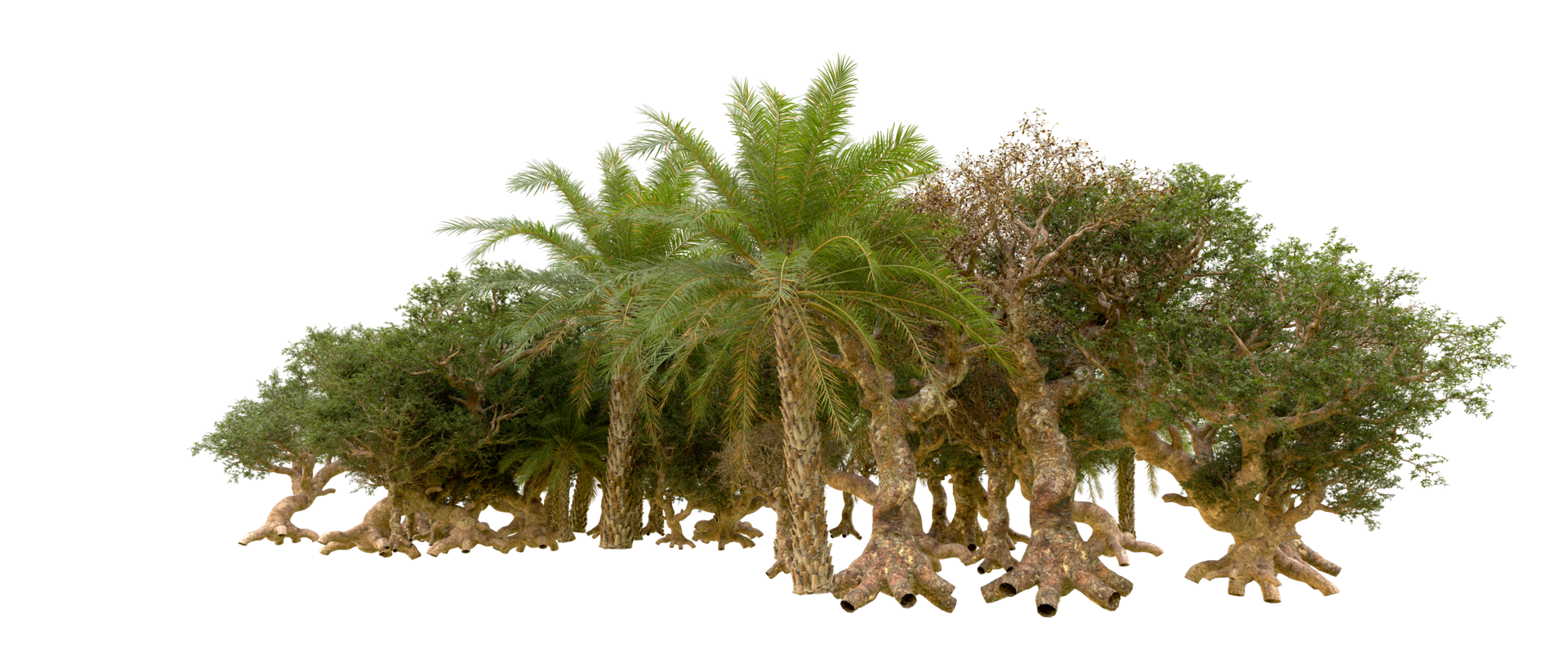 Green forest isolated on background. 3d rendering - illustration png