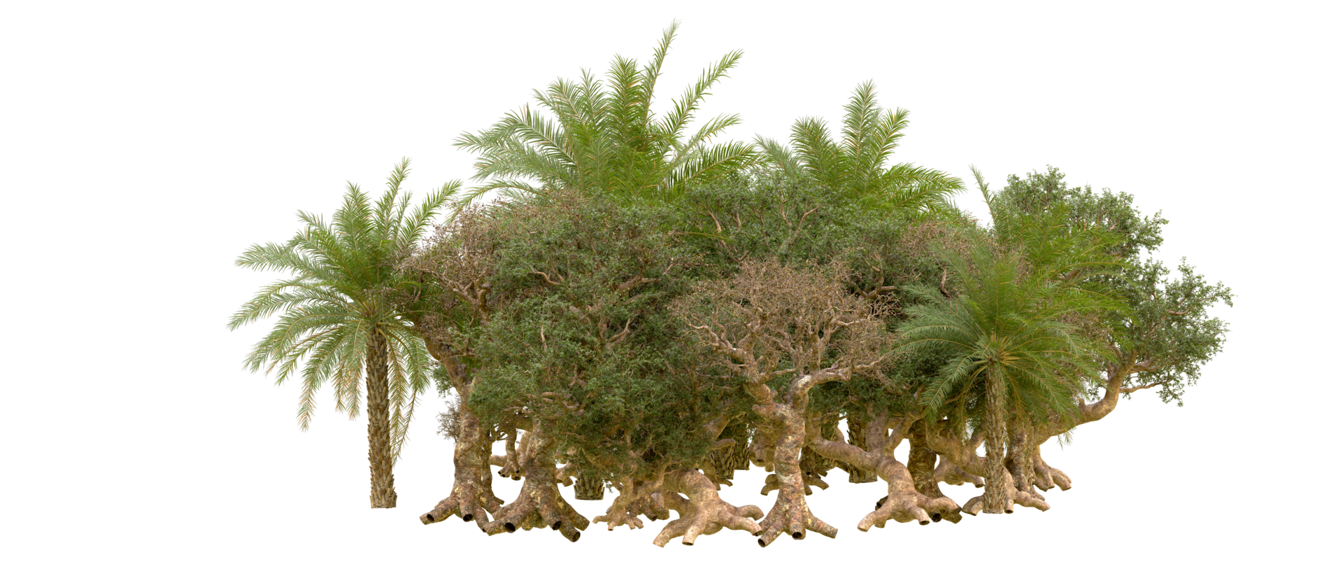 Green forest isolated on background. 3d rendering - illustration png