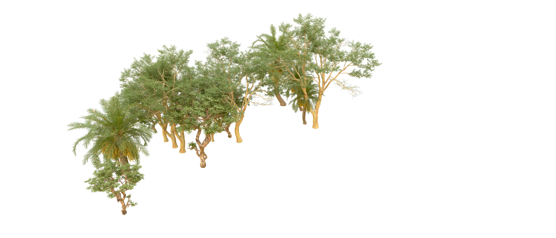 Green forest isolated on background. 3d rendering - illustration png