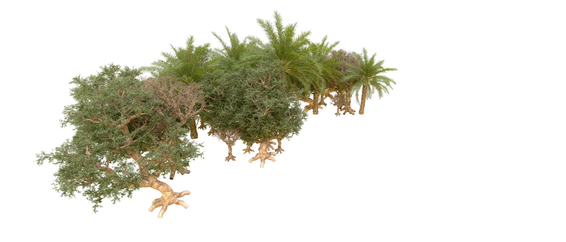 Green forest isolated on background. 3d rendering - illustration png