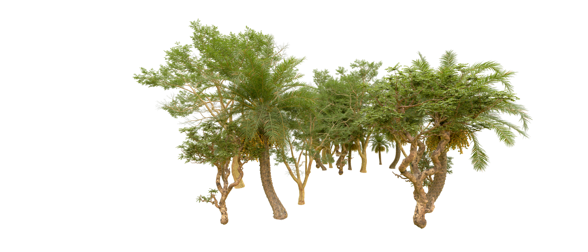 Green forest isolated on background. 3d rendering - illustration png