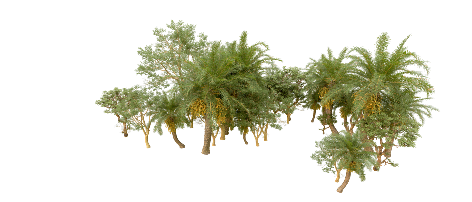 Green forest isolated on background. 3d rendering - illustration png