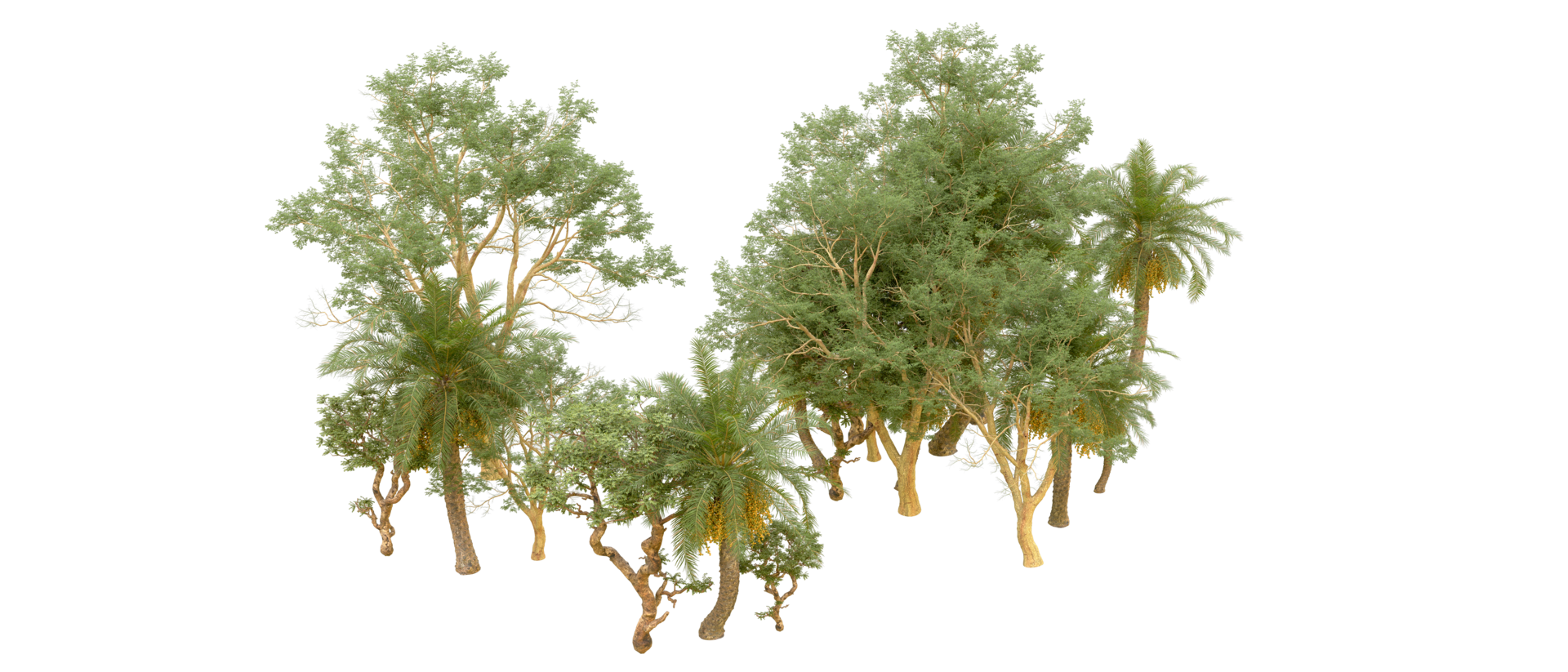 Green forest isolated on background. 3d rendering - illustration png