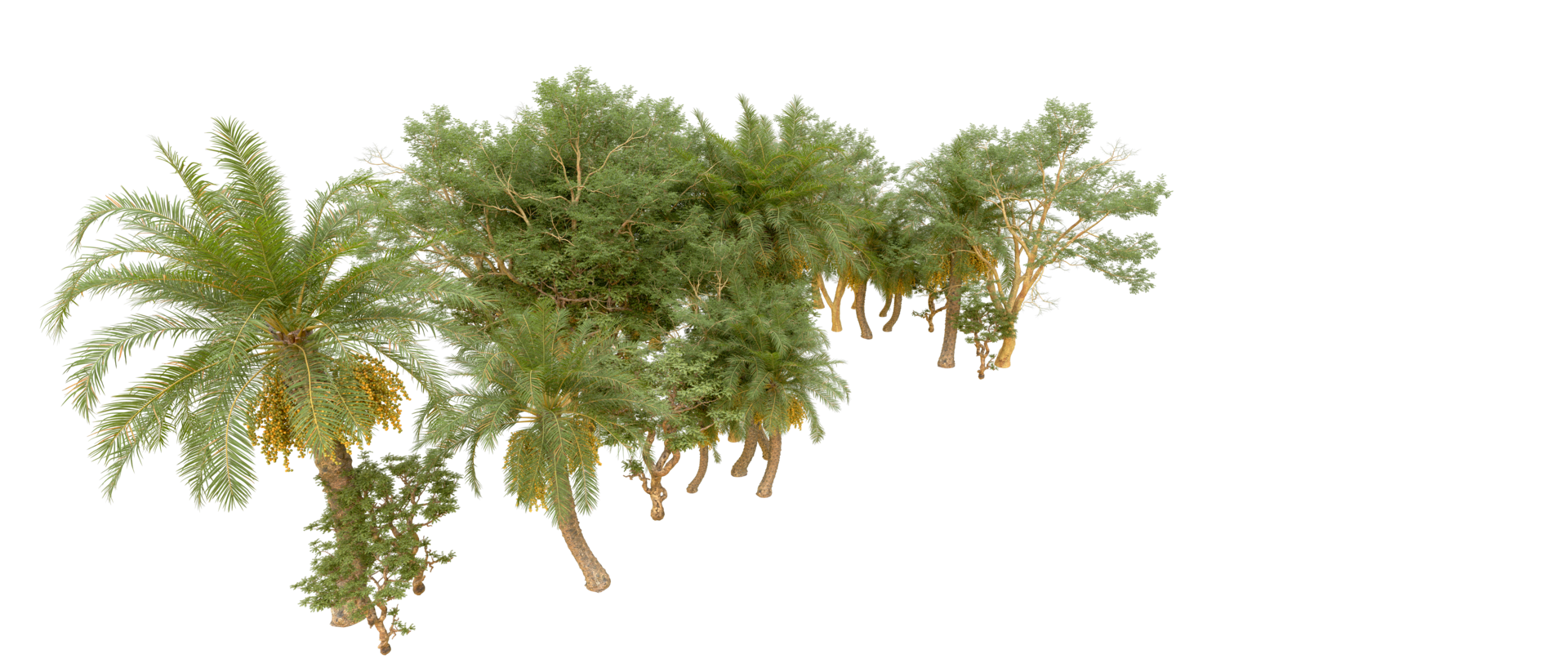 Green forest isolated on background. 3d rendering - illustration png