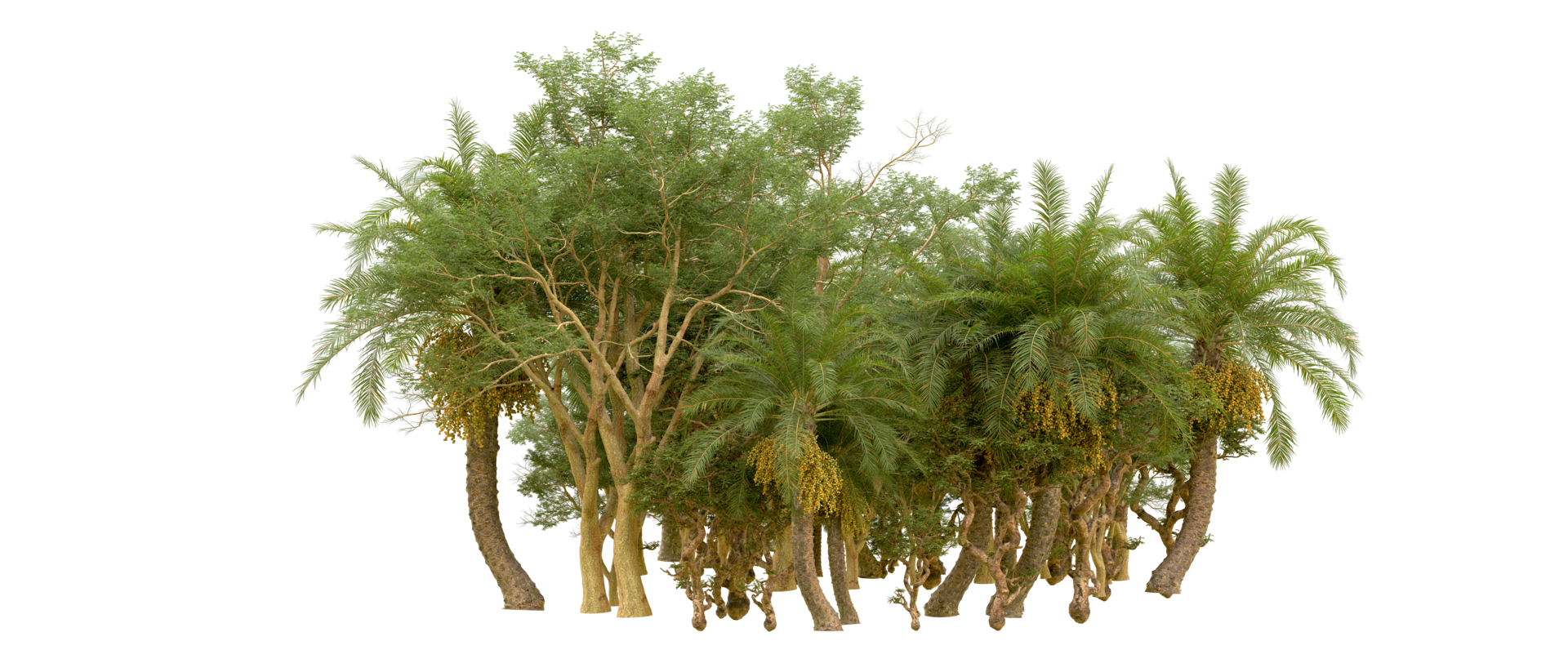 Green forest isolated on background. 3d rendering - illustration png