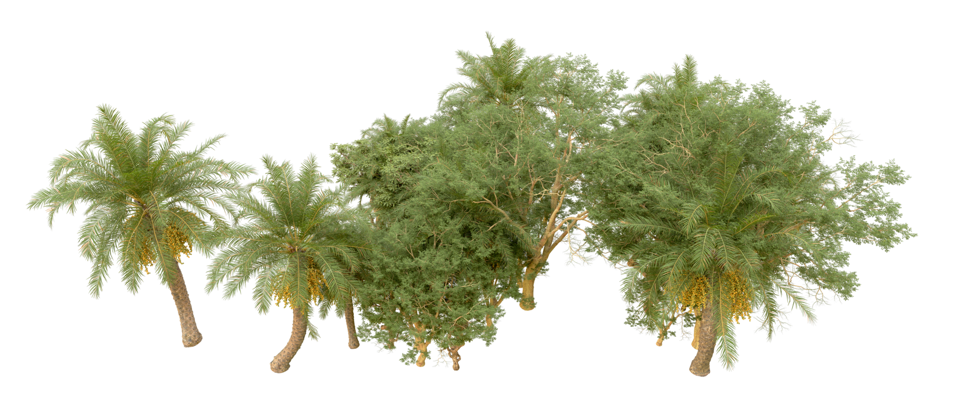 Green forest isolated on background. 3d rendering - illustration png