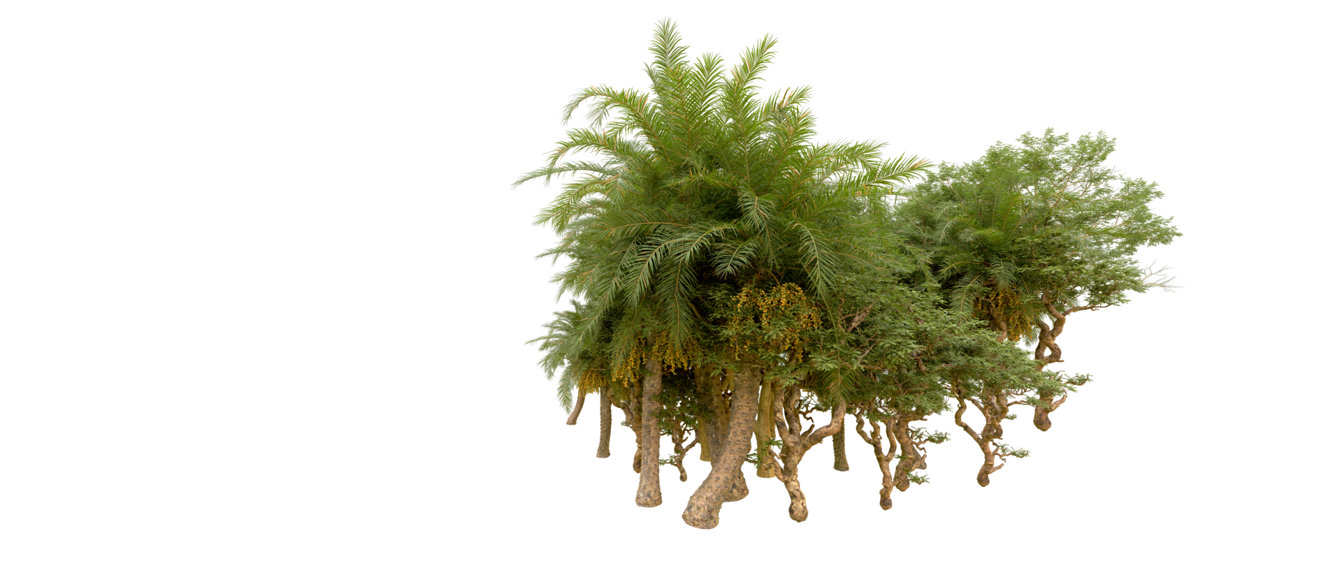 Green forest isolated on background. 3d rendering - illustration png