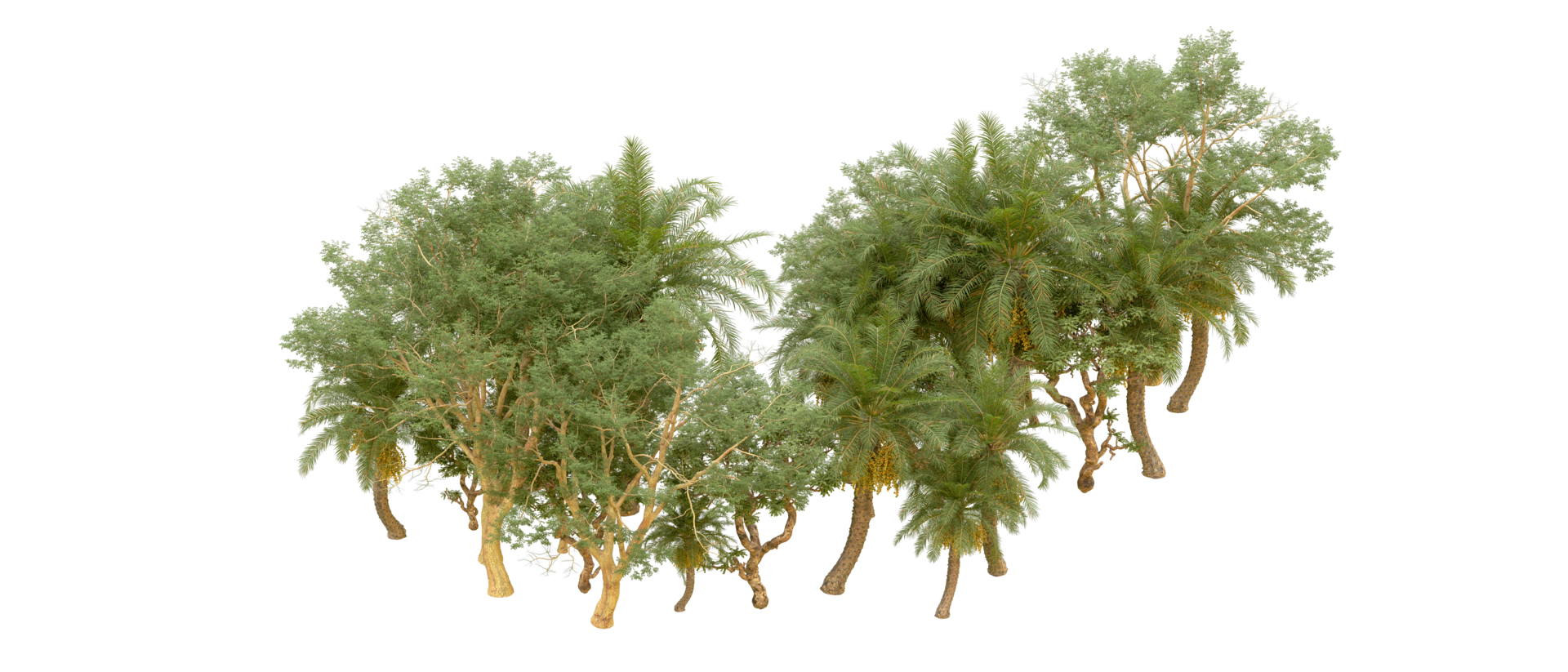 Green forest isolated on background. 3d rendering - illustration png