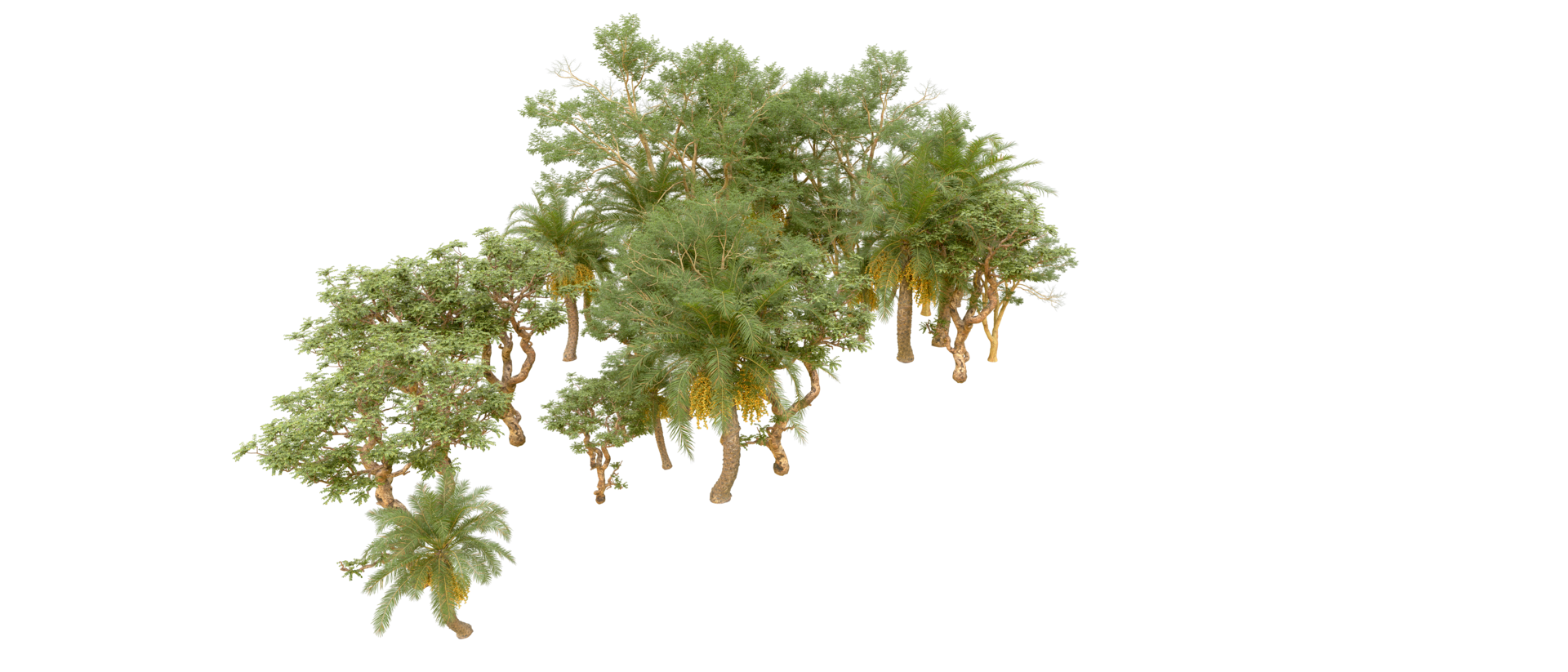 Green forest isolated on background. 3d rendering - illustration png