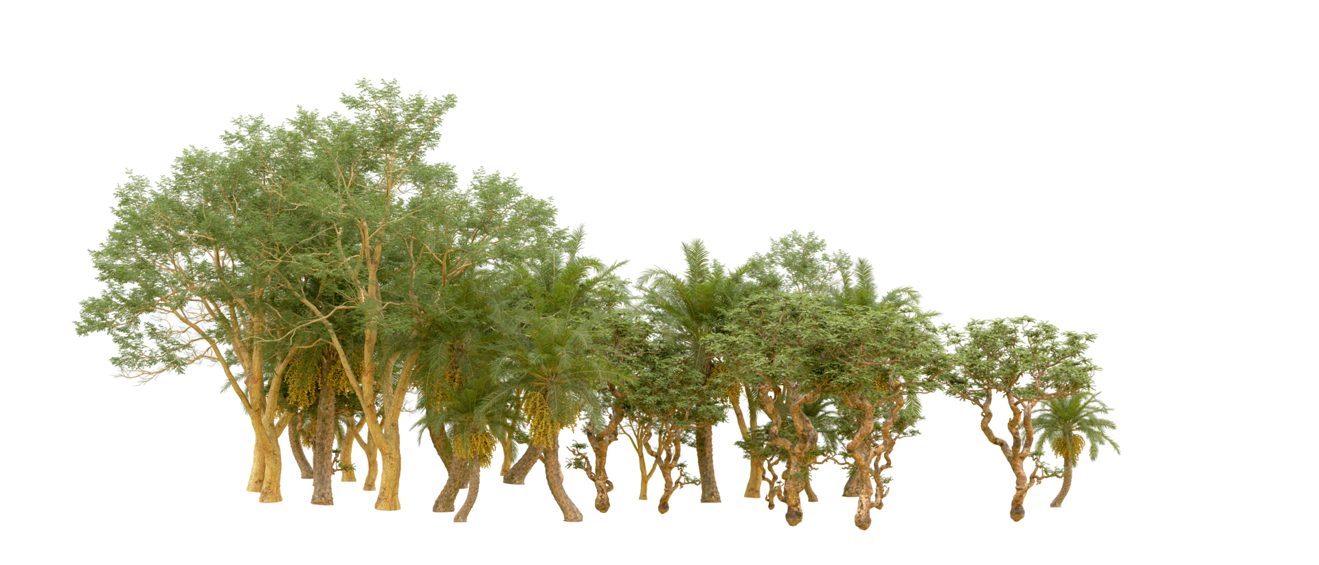 Green forest isolated on background. 3d rendering - illustration png