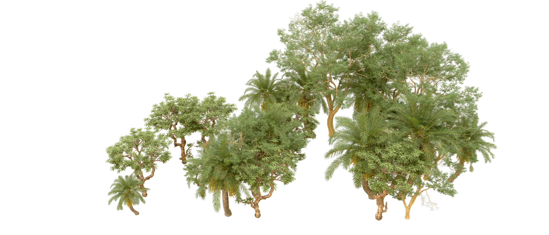 Green forest isolated on background. 3d rendering - illustration png