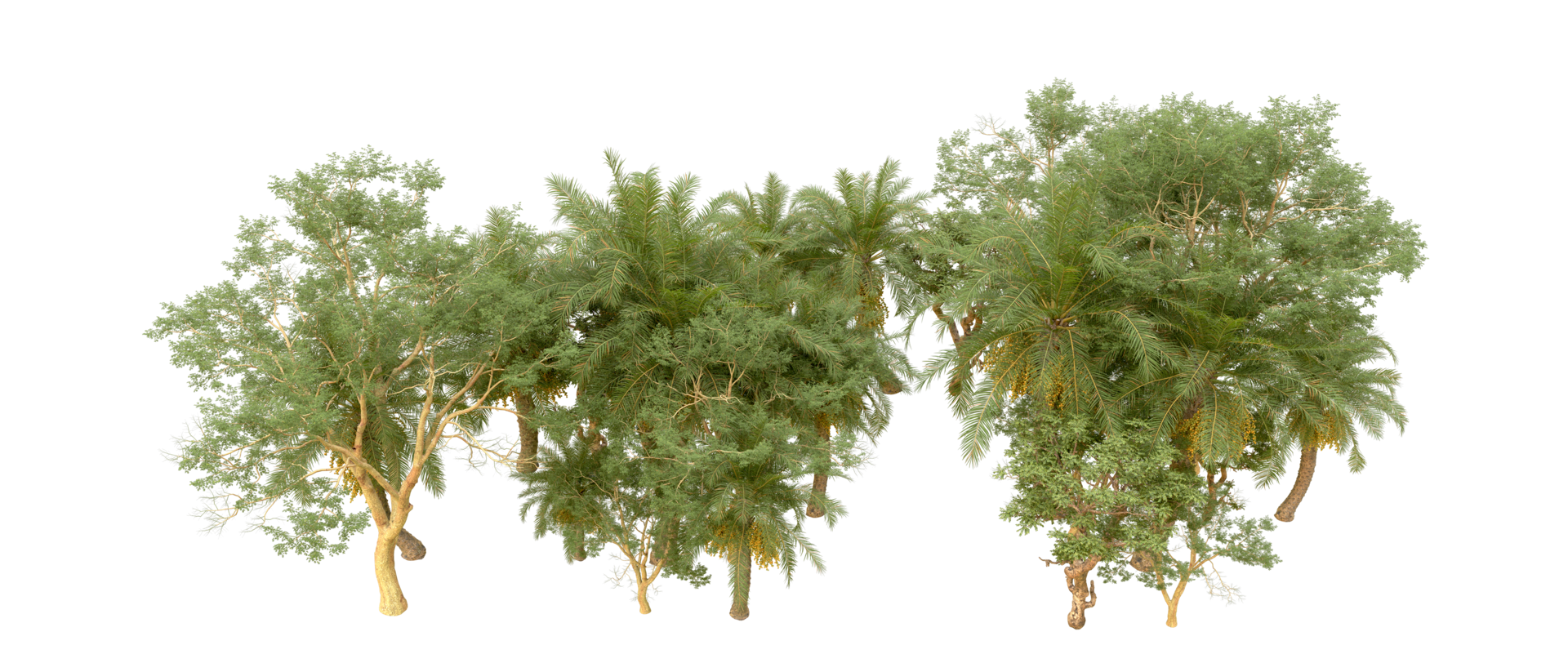 Green forest isolated on background. 3d rendering - illustration png