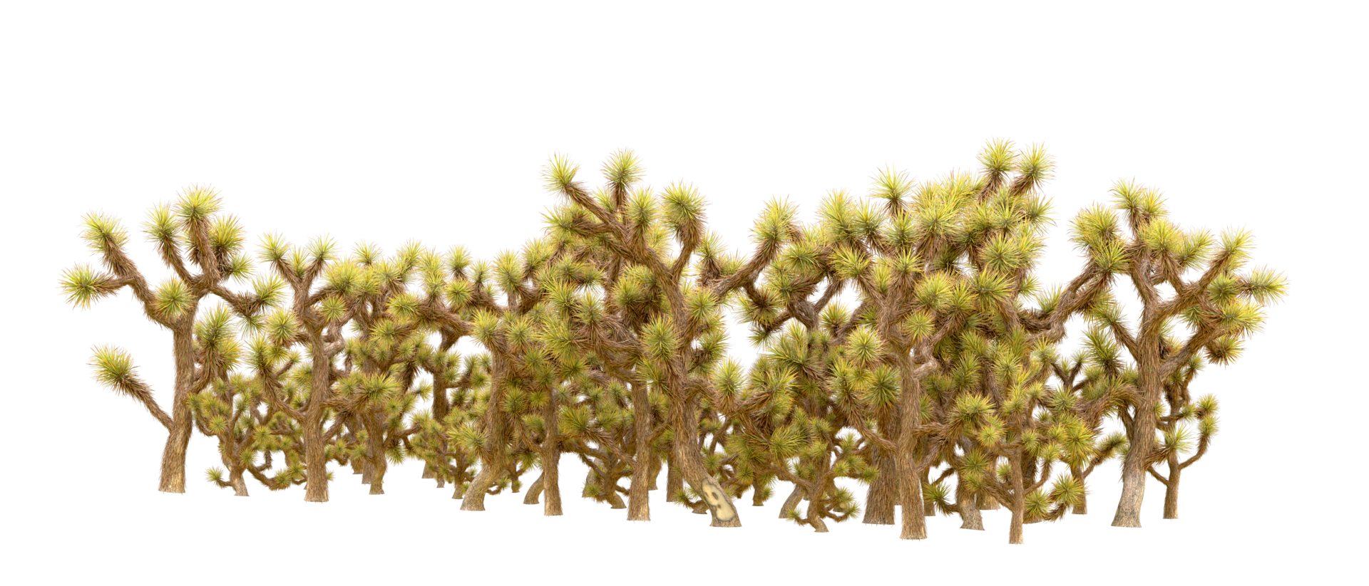 Green forest isolated on background. 3d rendering - illustration png