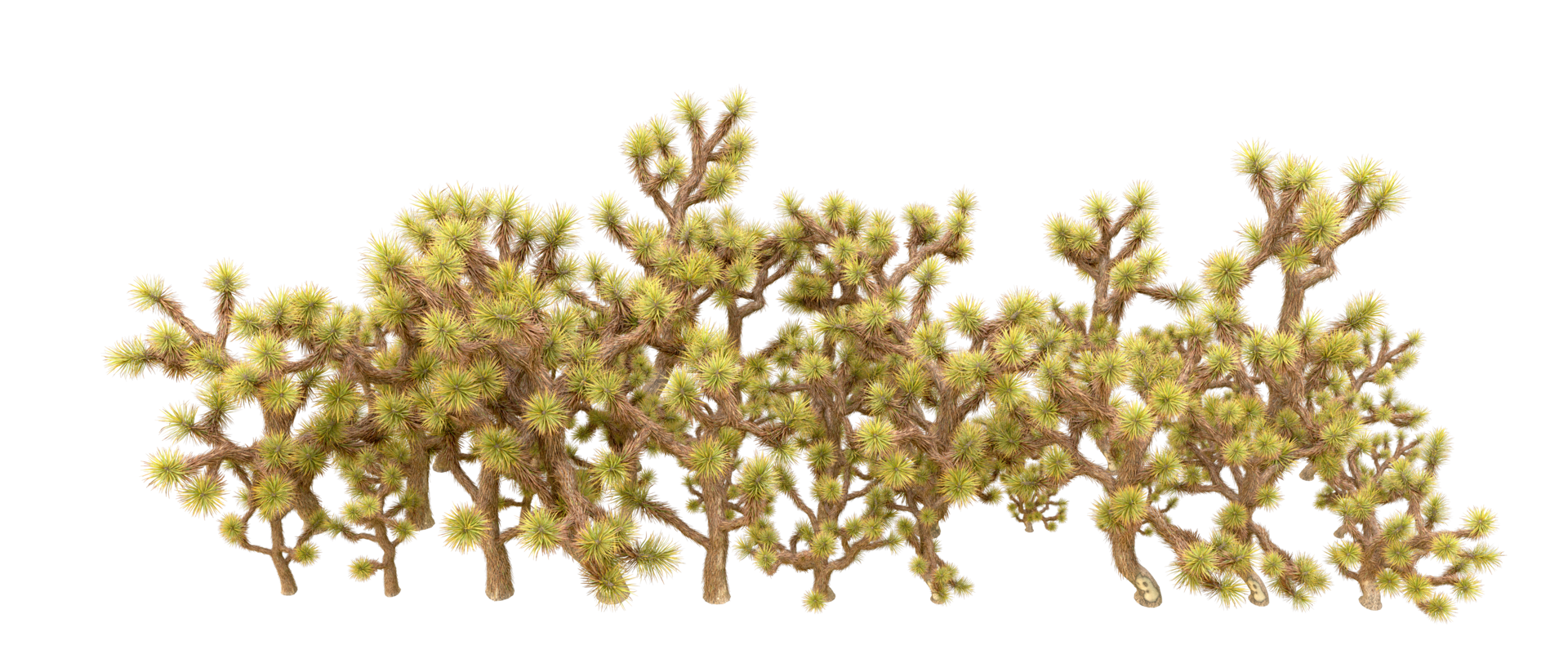 Green forest isolated on background. 3d rendering - illustration png