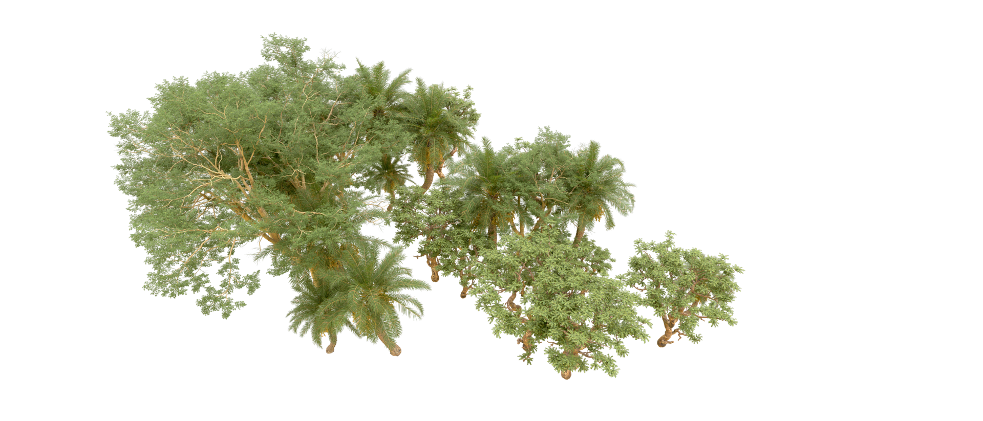 Green forest isolated on background. 3d rendering - illustration png