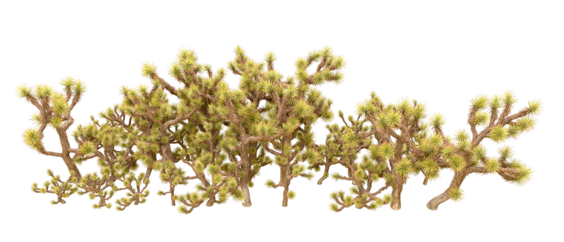 Green forest isolated on background. 3d rendering - illustration png