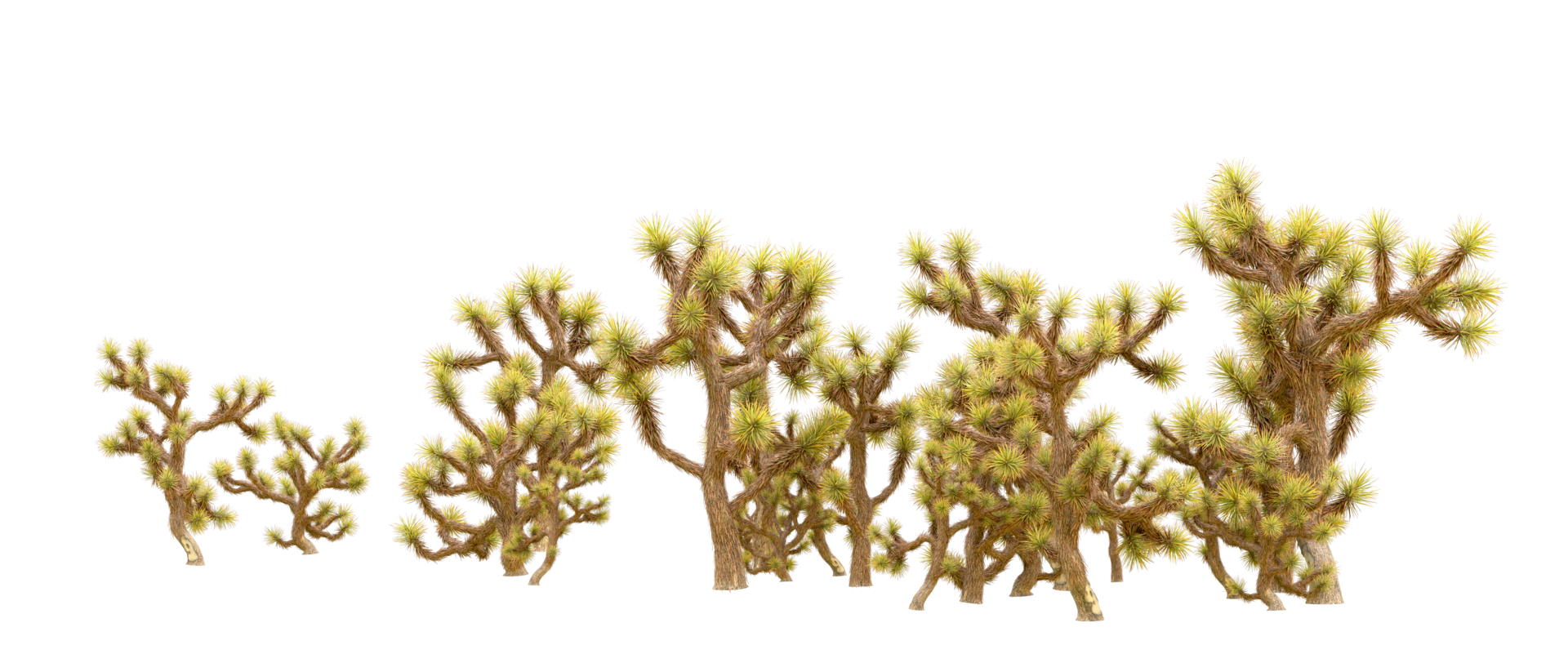 Green forest isolated on background. 3d rendering - illustration png