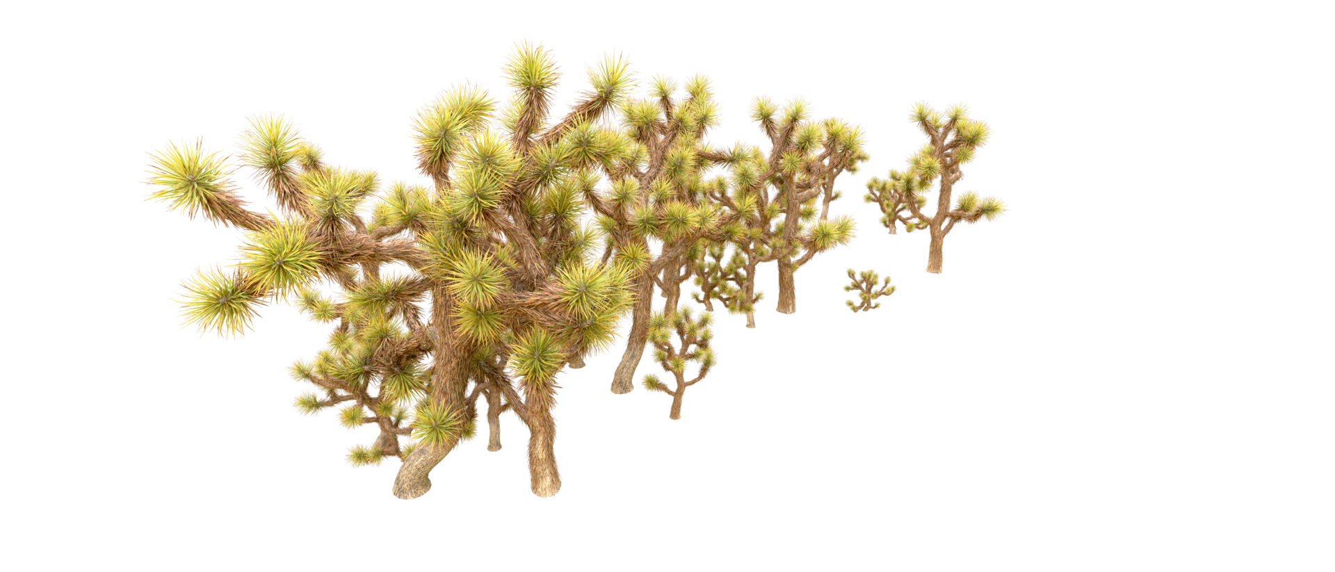 Green forest isolated on background. 3d rendering - illustration png