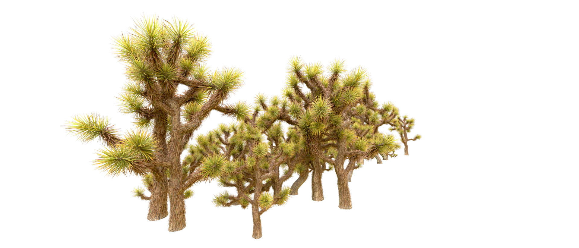 Green forest isolated on background. 3d rendering - illustration png