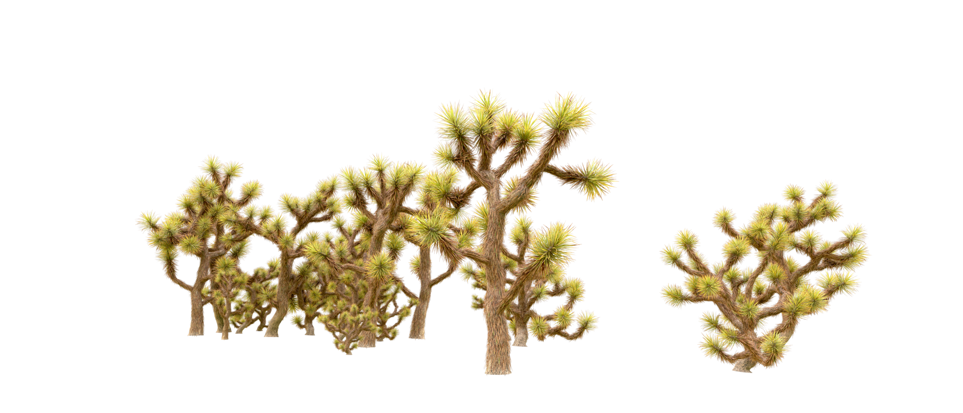 Green forest isolated on background. 3d rendering - illustration png