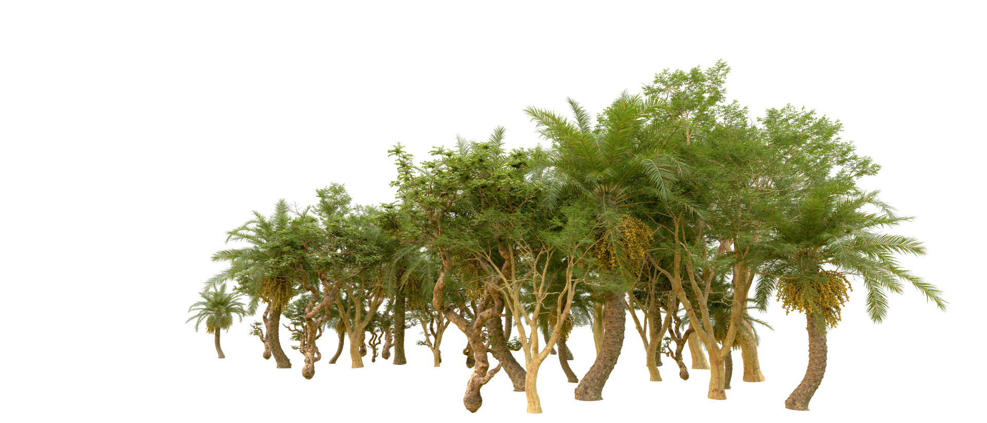 Green forest isolated on background. 3d rendering - illustration png