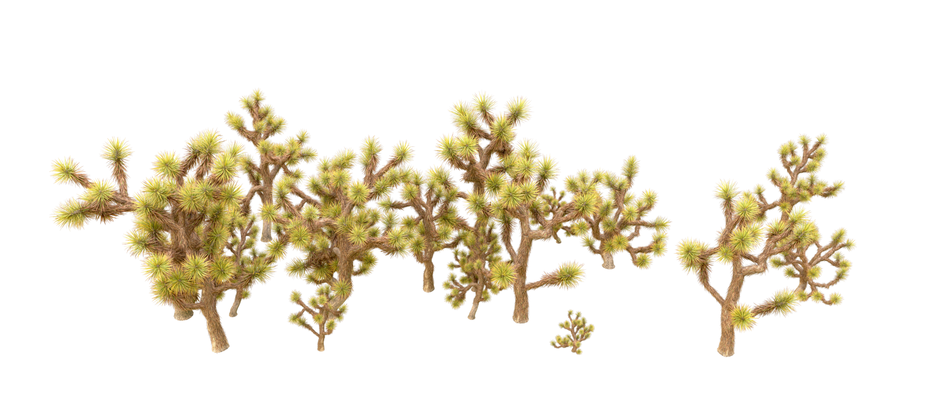 Green forest isolated on background. 3d rendering - illustration png