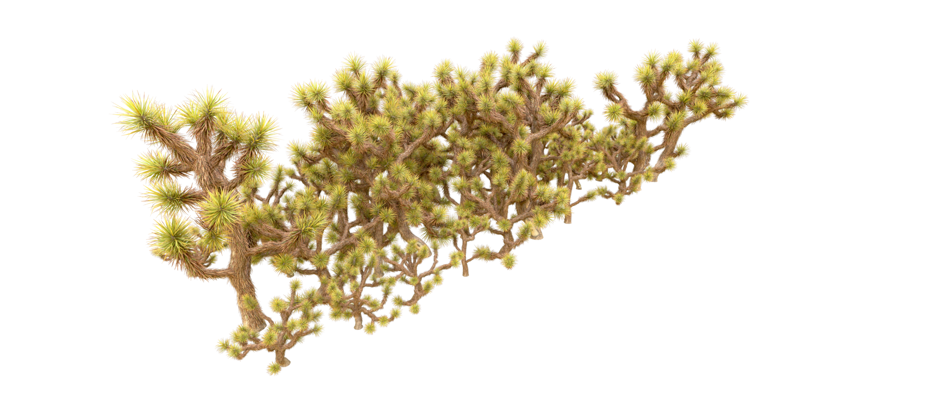 Green forest isolated on background. 3d rendering - illustration png