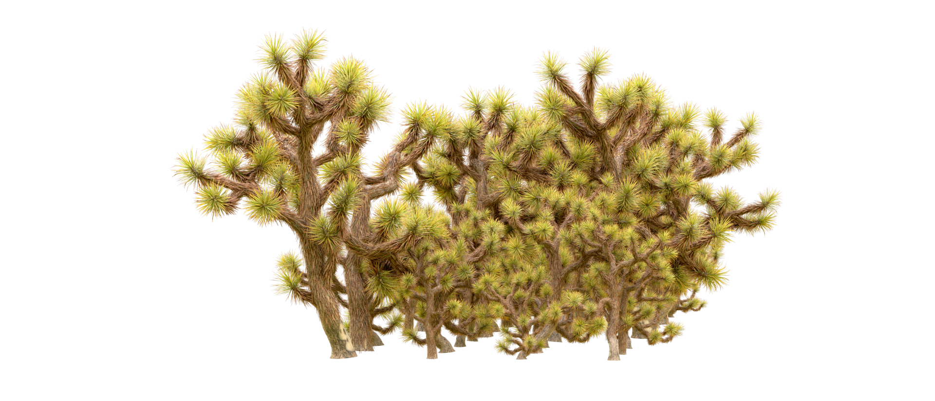Green forest isolated on background. 3d rendering - illustration png