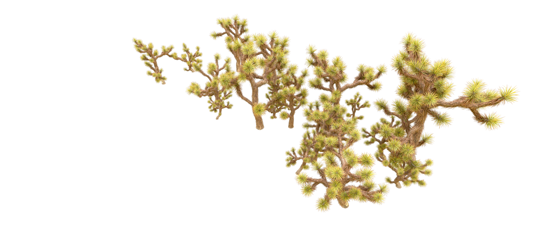 Green forest isolated on background. 3d rendering - illustration png