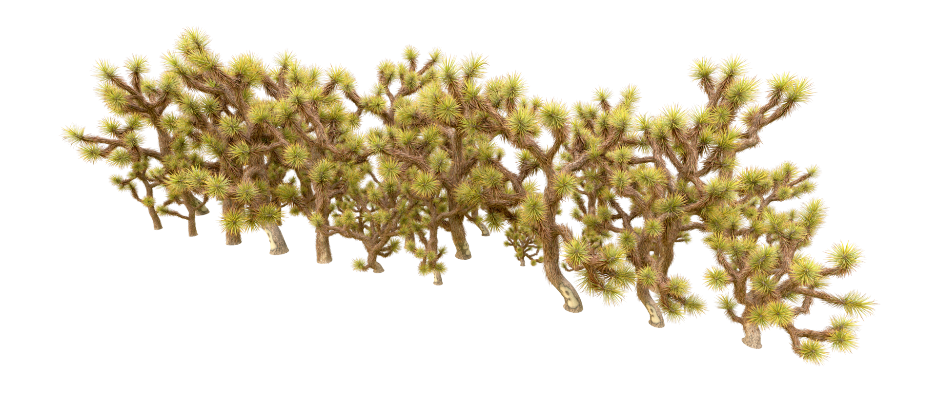 Green forest isolated on background. 3d rendering - illustration png