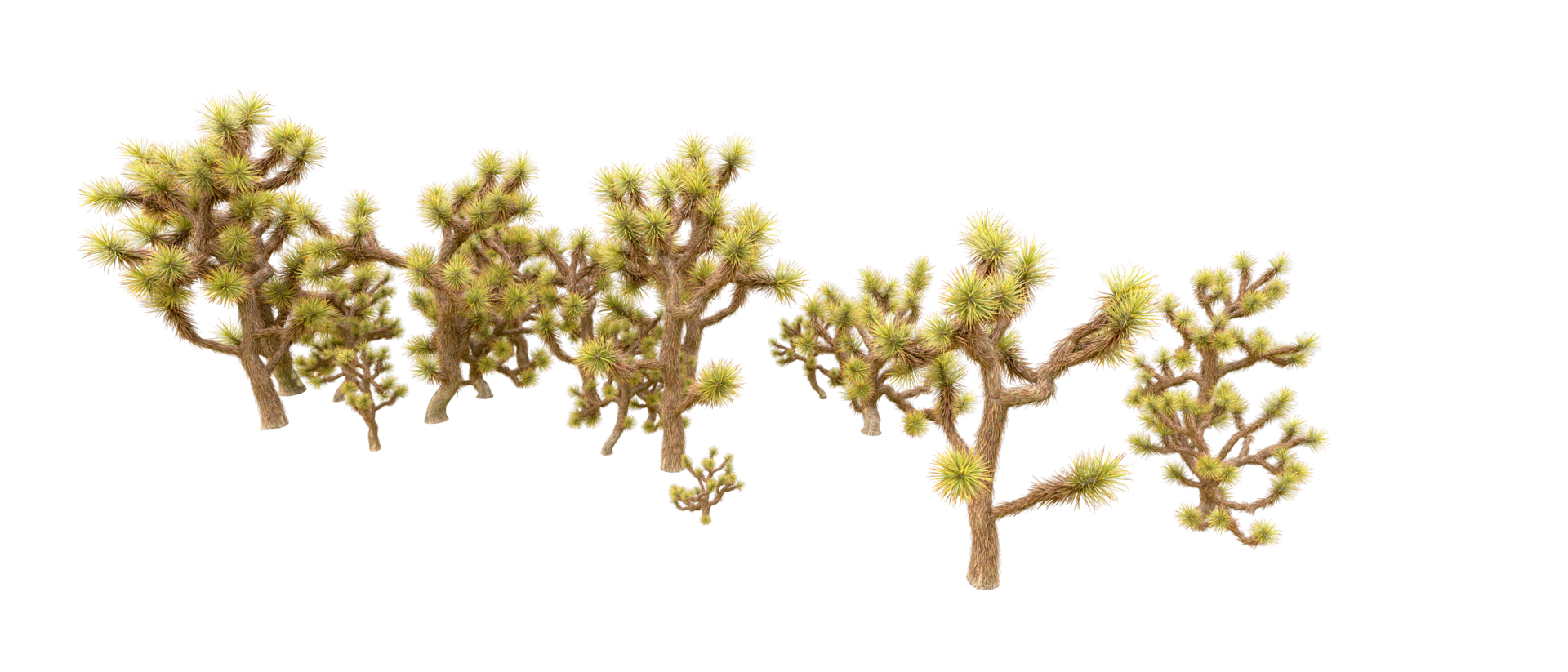 Green forest isolated on background. 3d rendering - illustration png