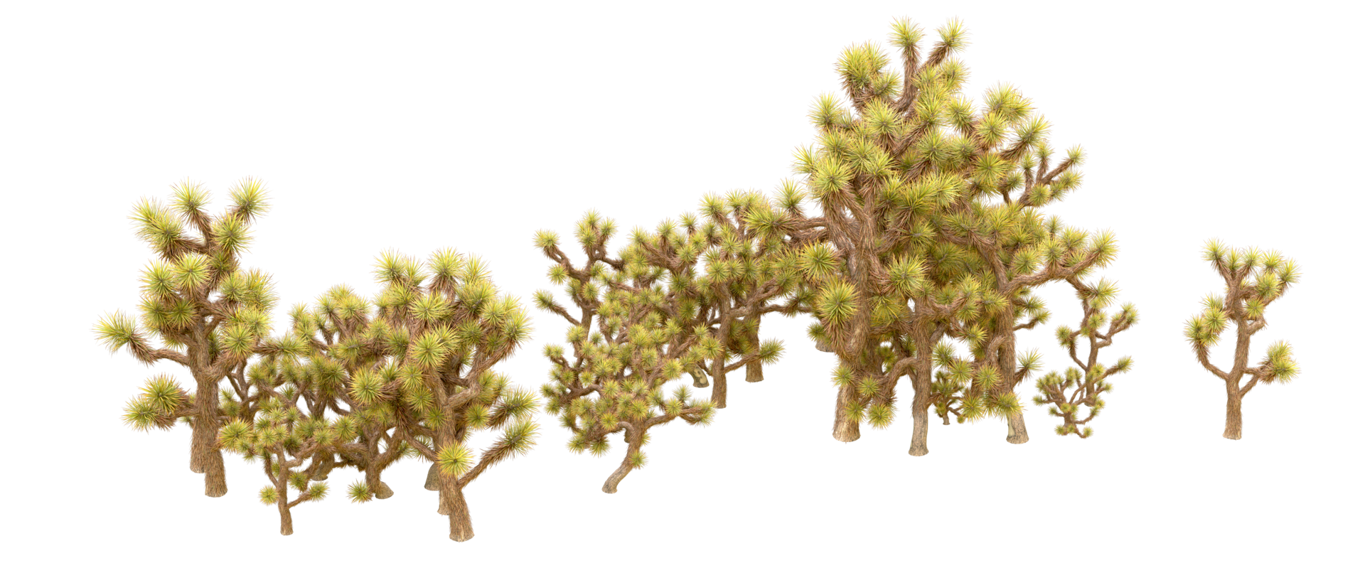 Green forest isolated on background. 3d rendering - illustration png
