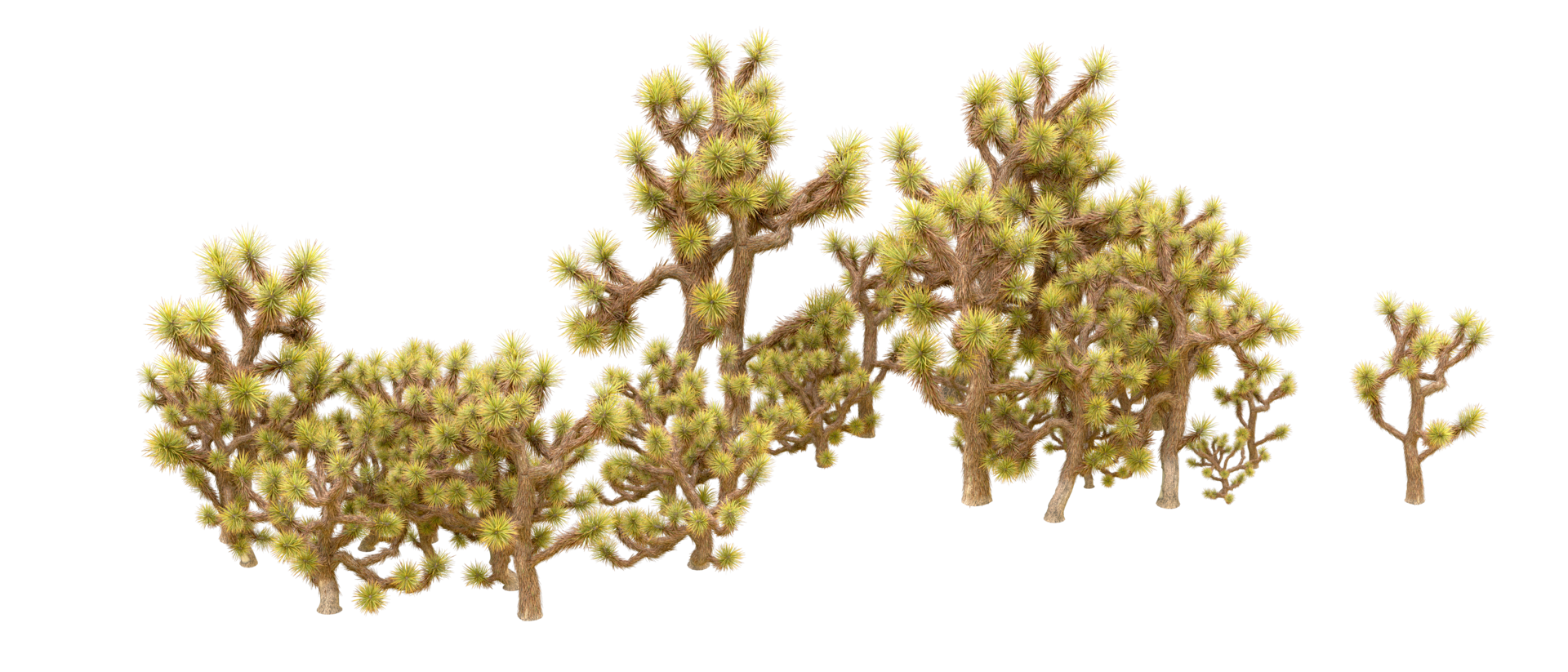 Green forest isolated on background. 3d rendering - illustration png