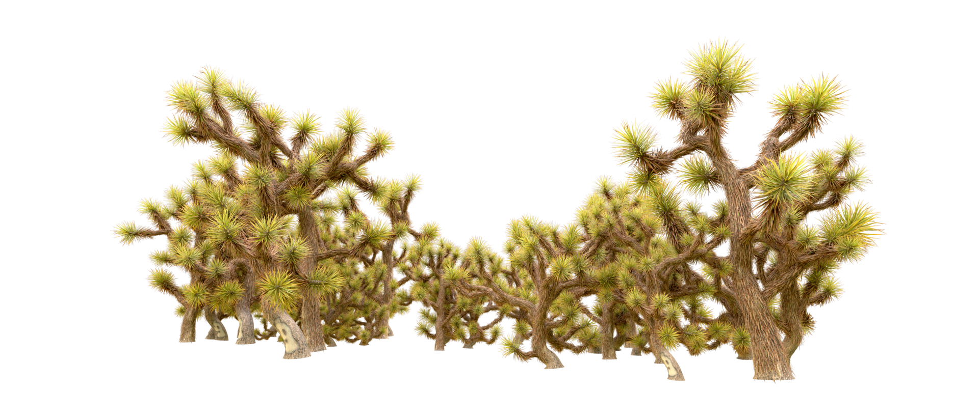 Green forest isolated on background. 3d rendering - illustration png
