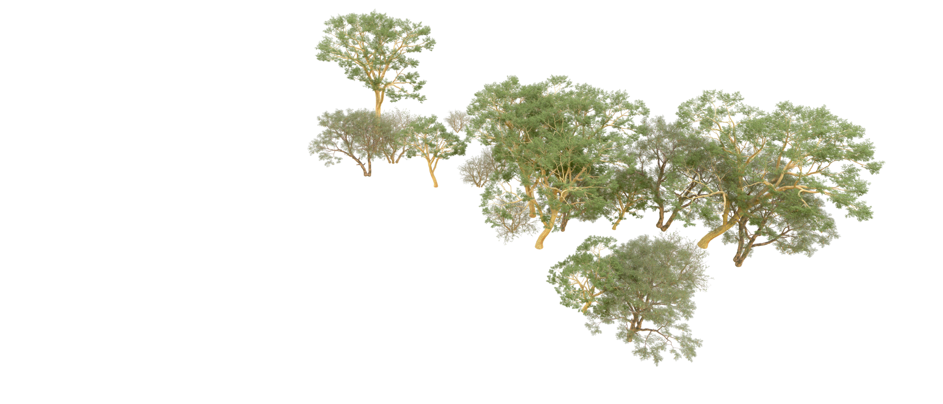Green forest isolated on background. 3d rendering - illustration png