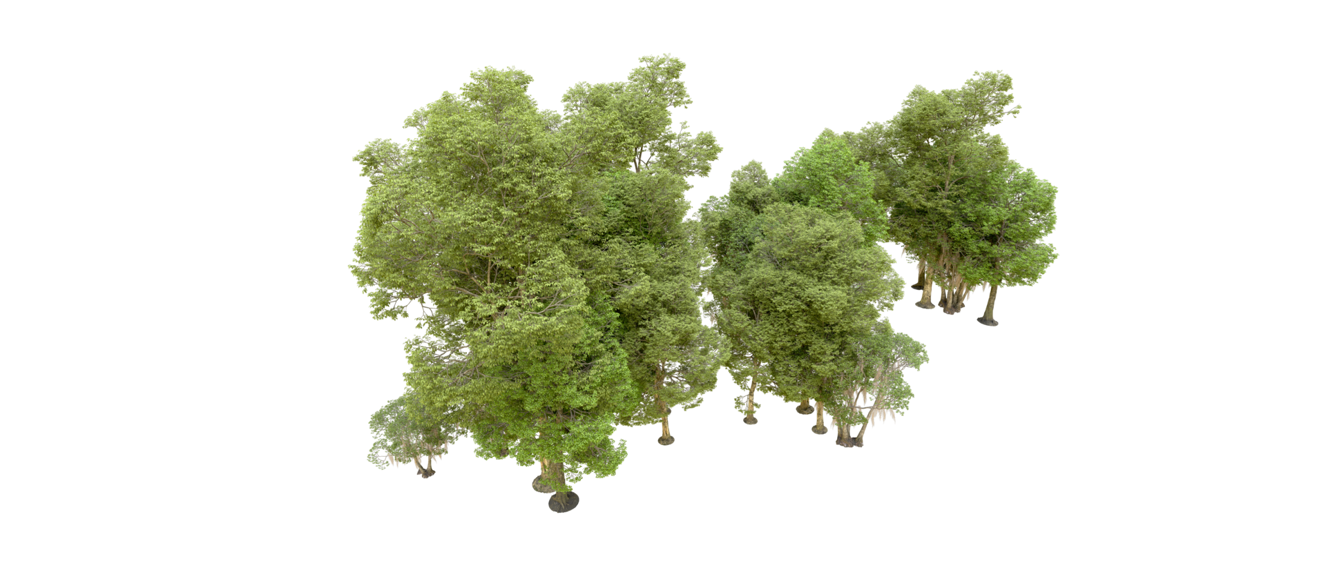 Green forest isolated on background. 3d rendering - illustration png