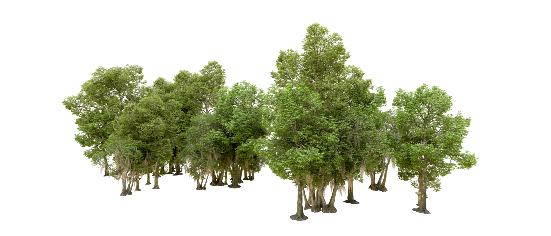 Green forest isolated on background. 3d rendering - illustration png