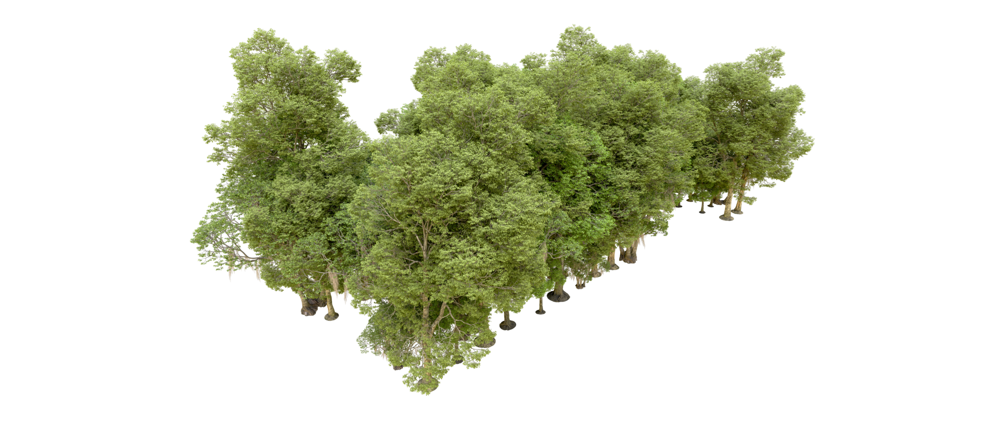 Green forest isolated on background. 3d rendering - illustration png