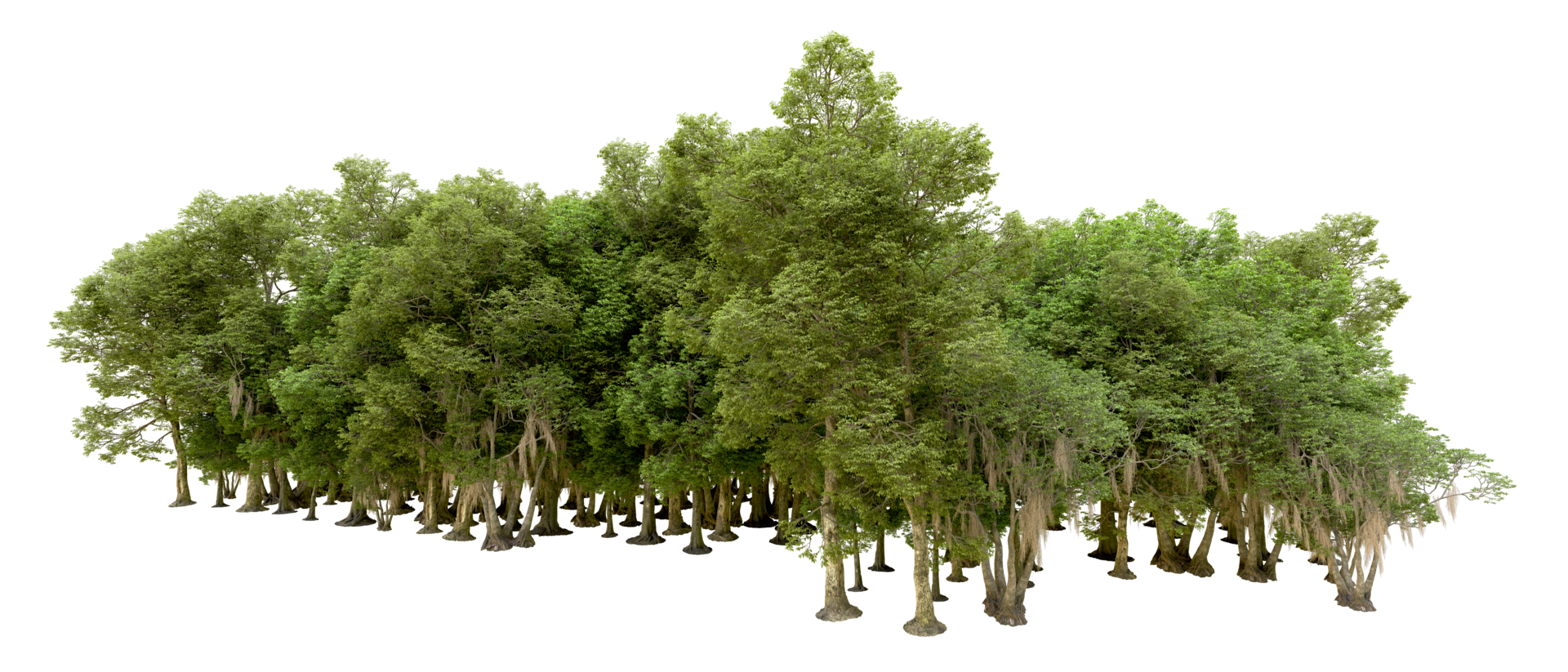 Green forest isolated on background. 3d rendering - illustration png