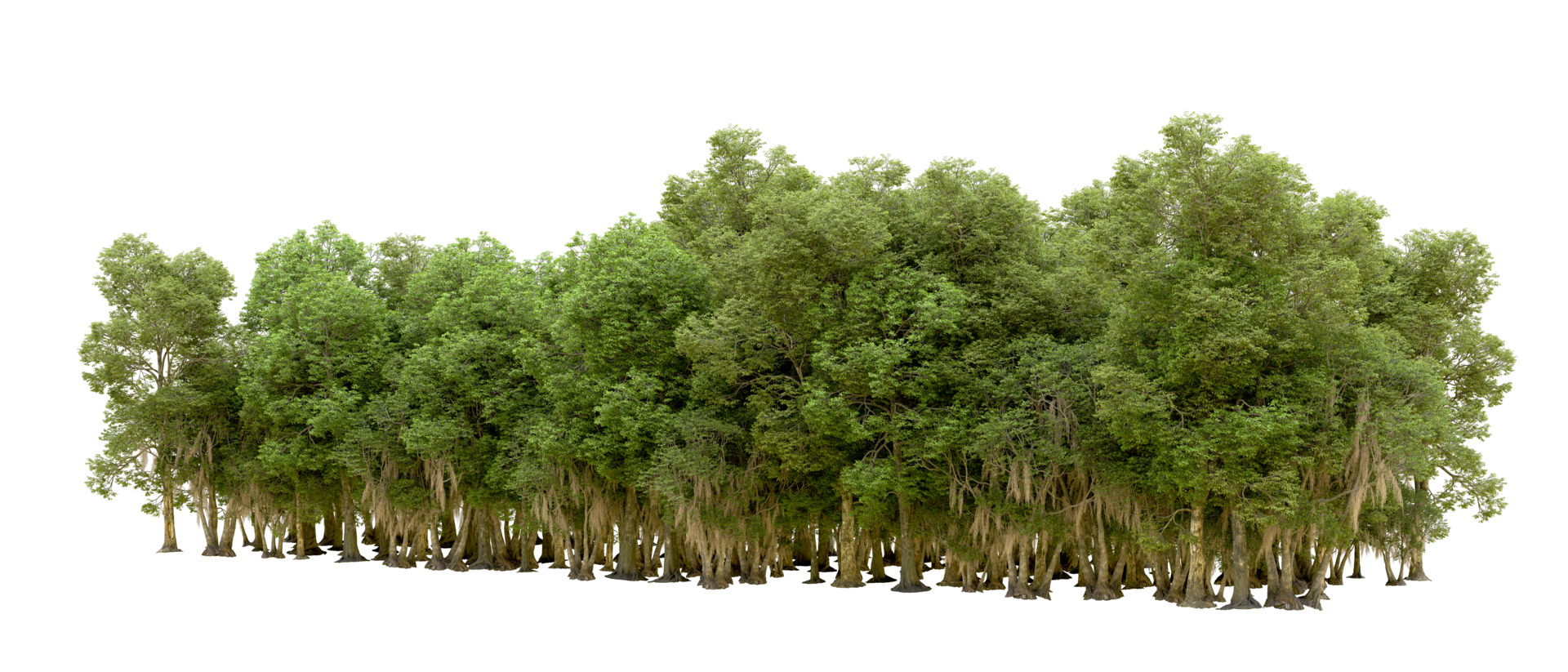Green forest isolated on background. 3d rendering - illustration png