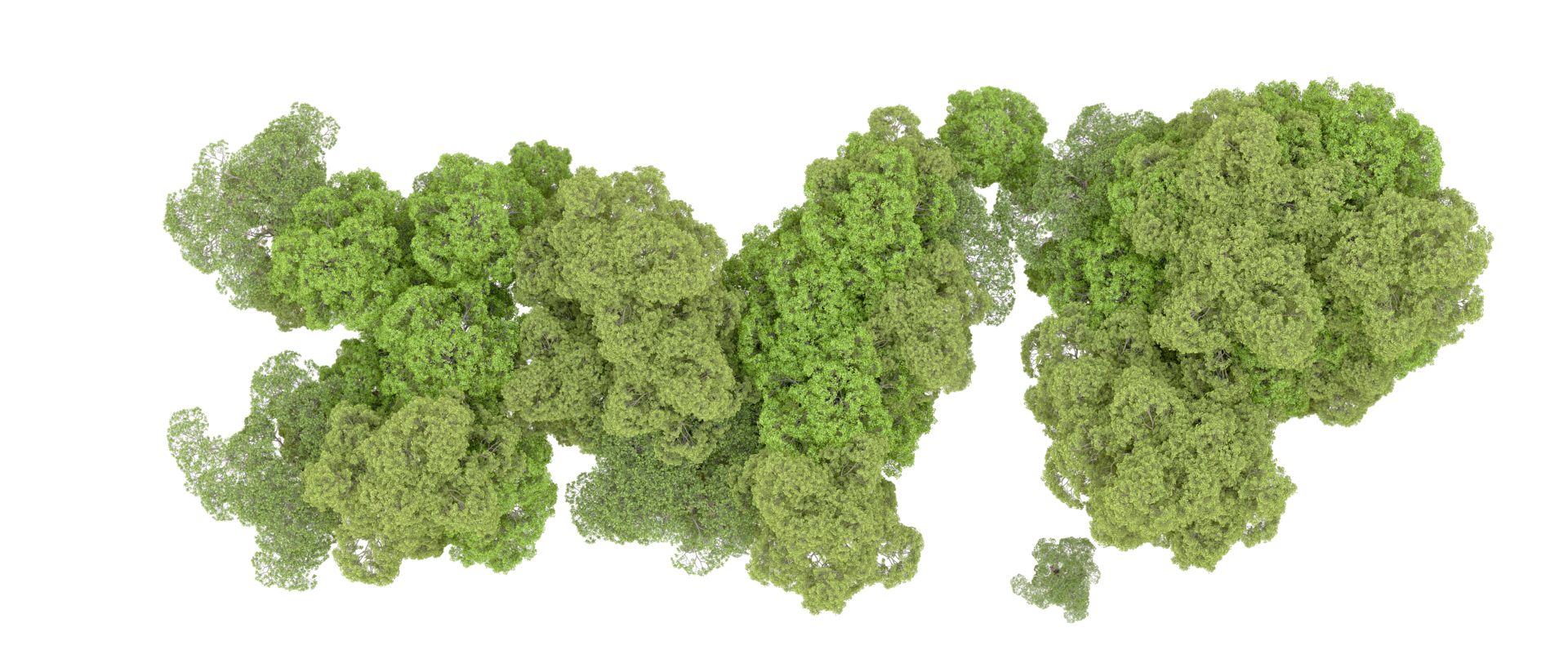 Green forest isolated on background. 3d rendering - illustration png