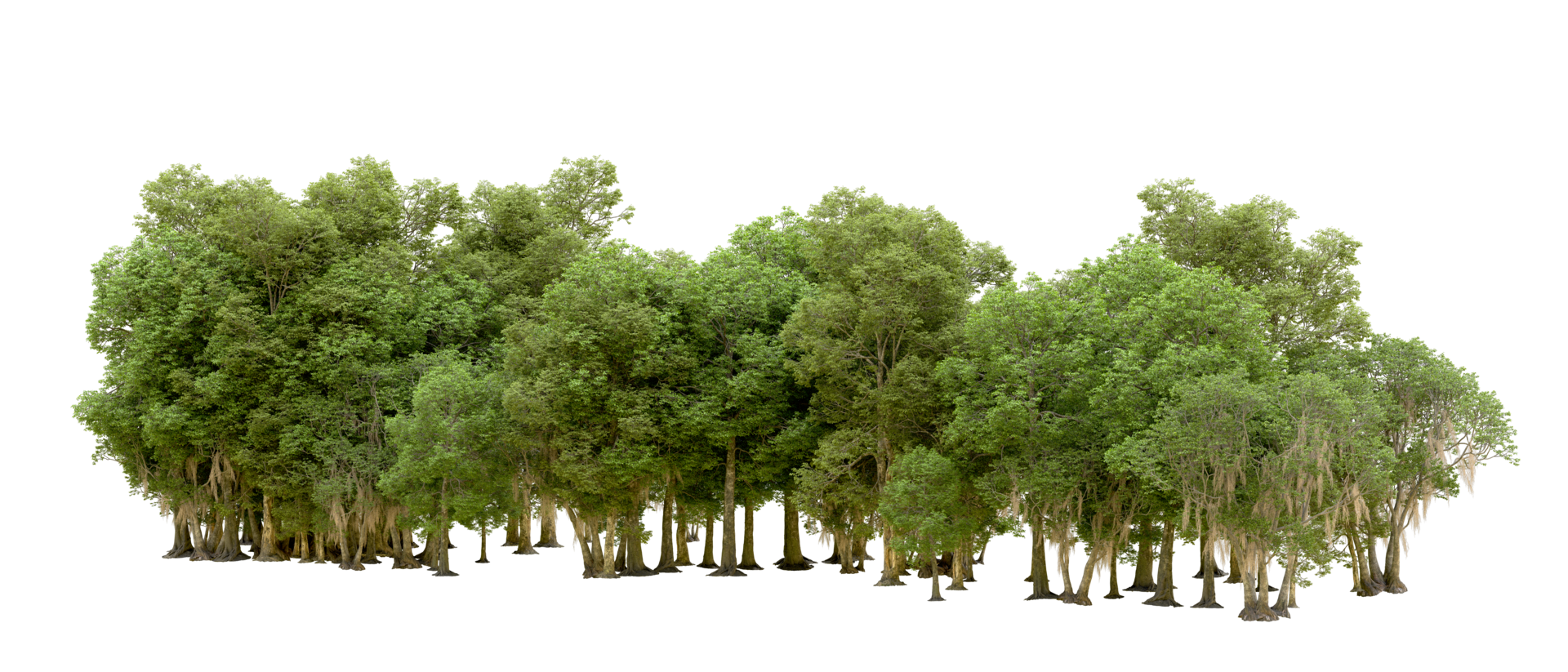 Green forest isolated on background. 3d rendering - illustration png