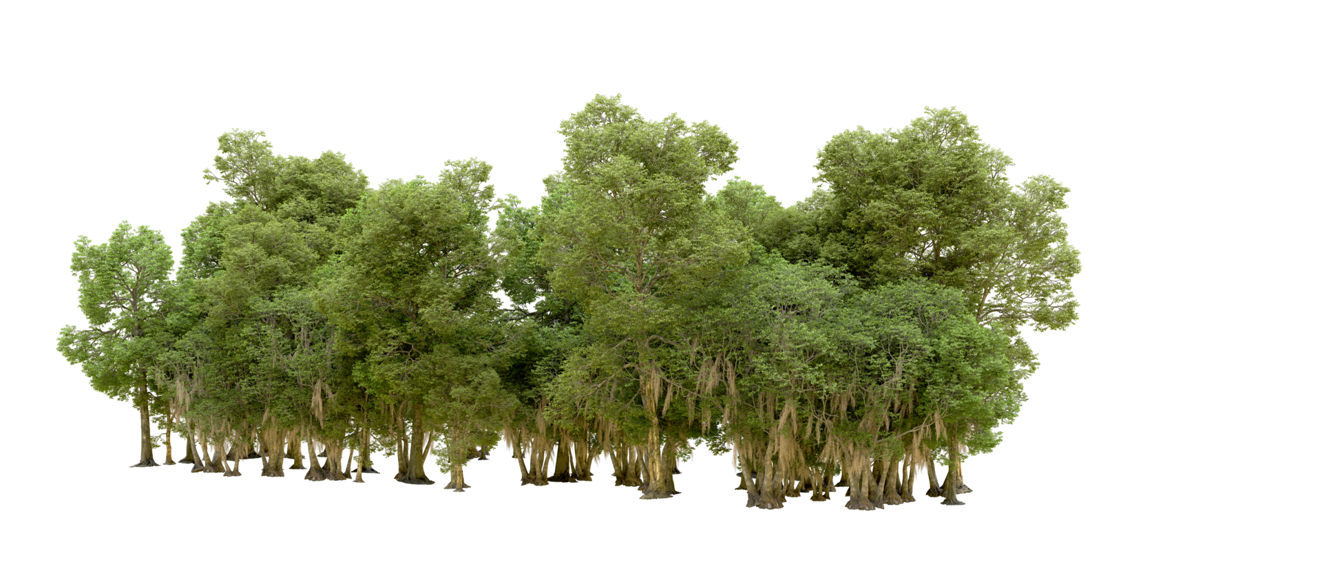 Green forest isolated on background. 3d rendering - illustration png