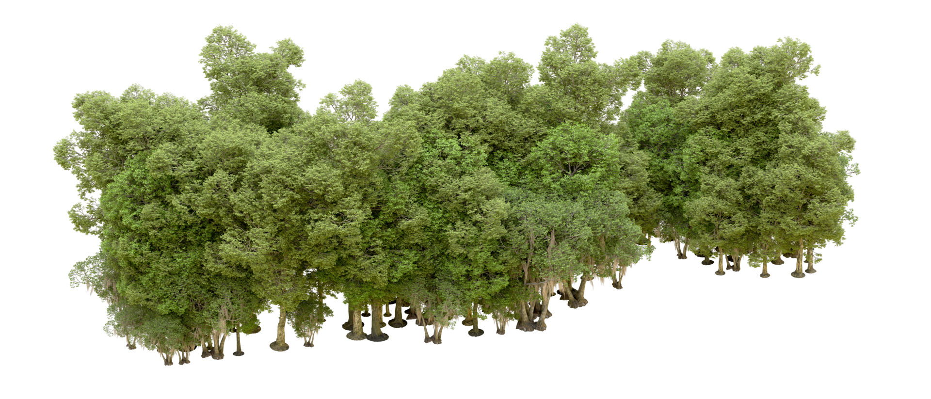 Green forest isolated on background. 3d rendering - illustration png