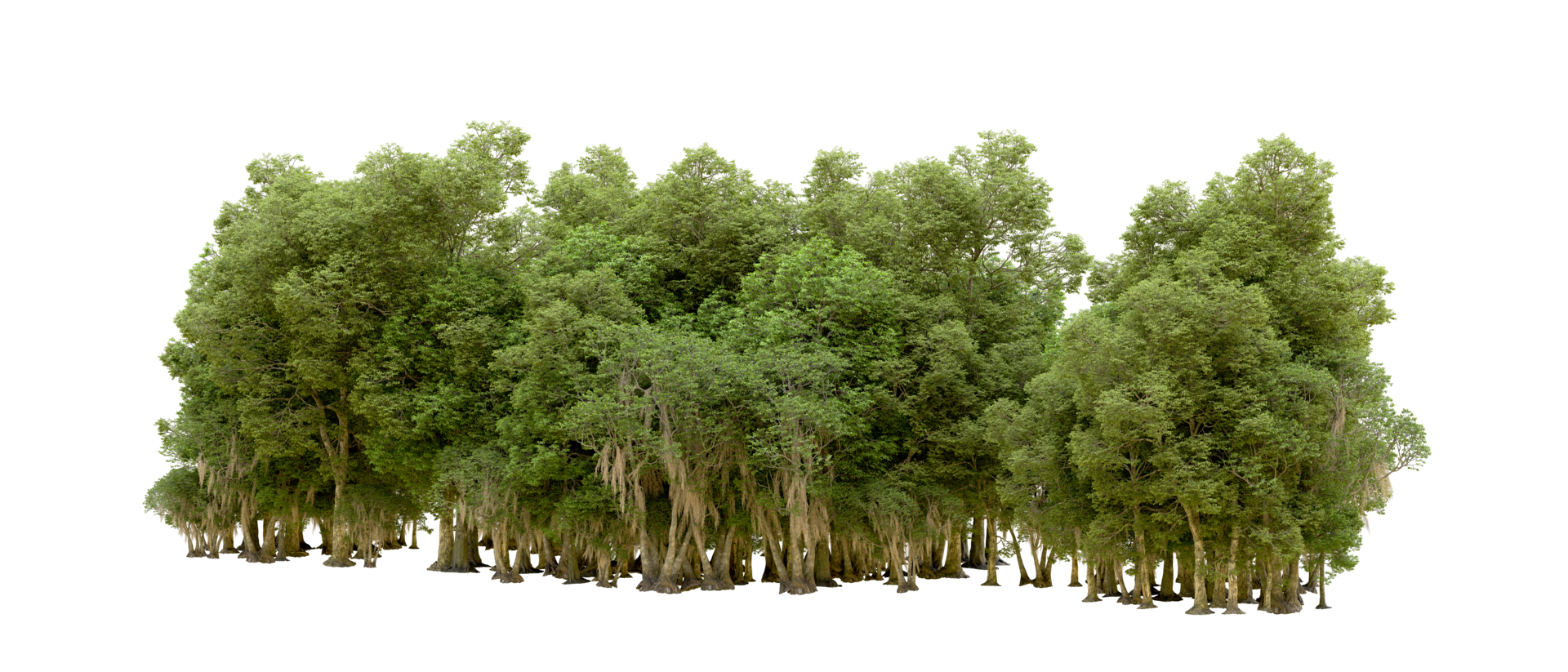 Green forest isolated on background. 3d rendering - illustration png