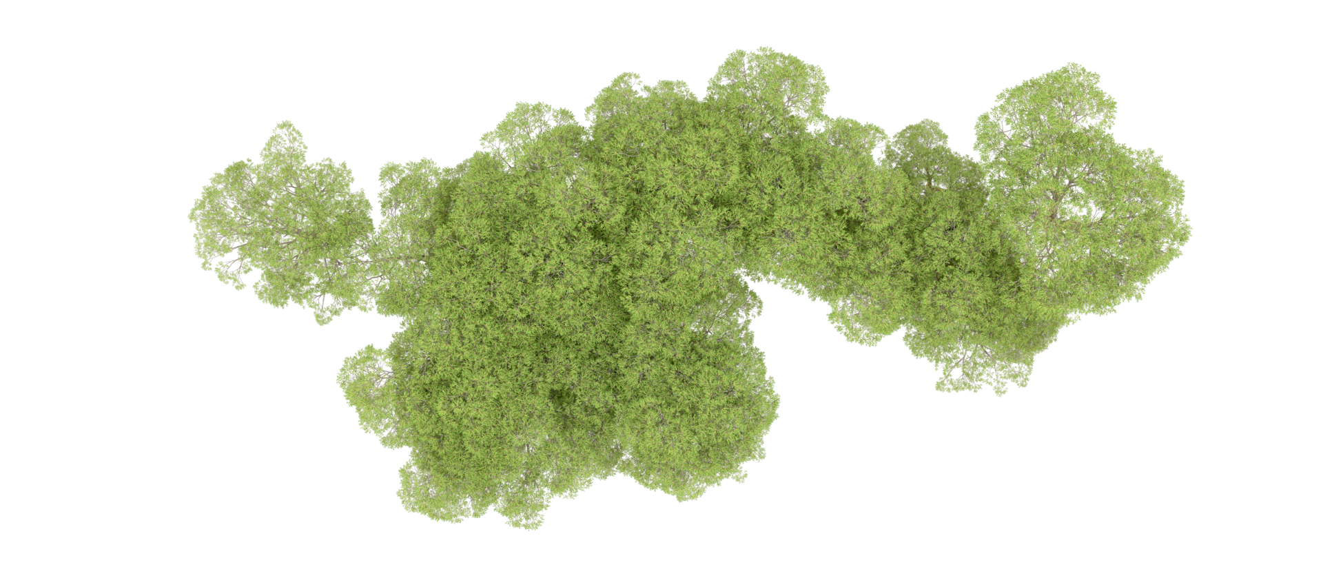 Green forest isolated on background. 3d rendering - illustration png