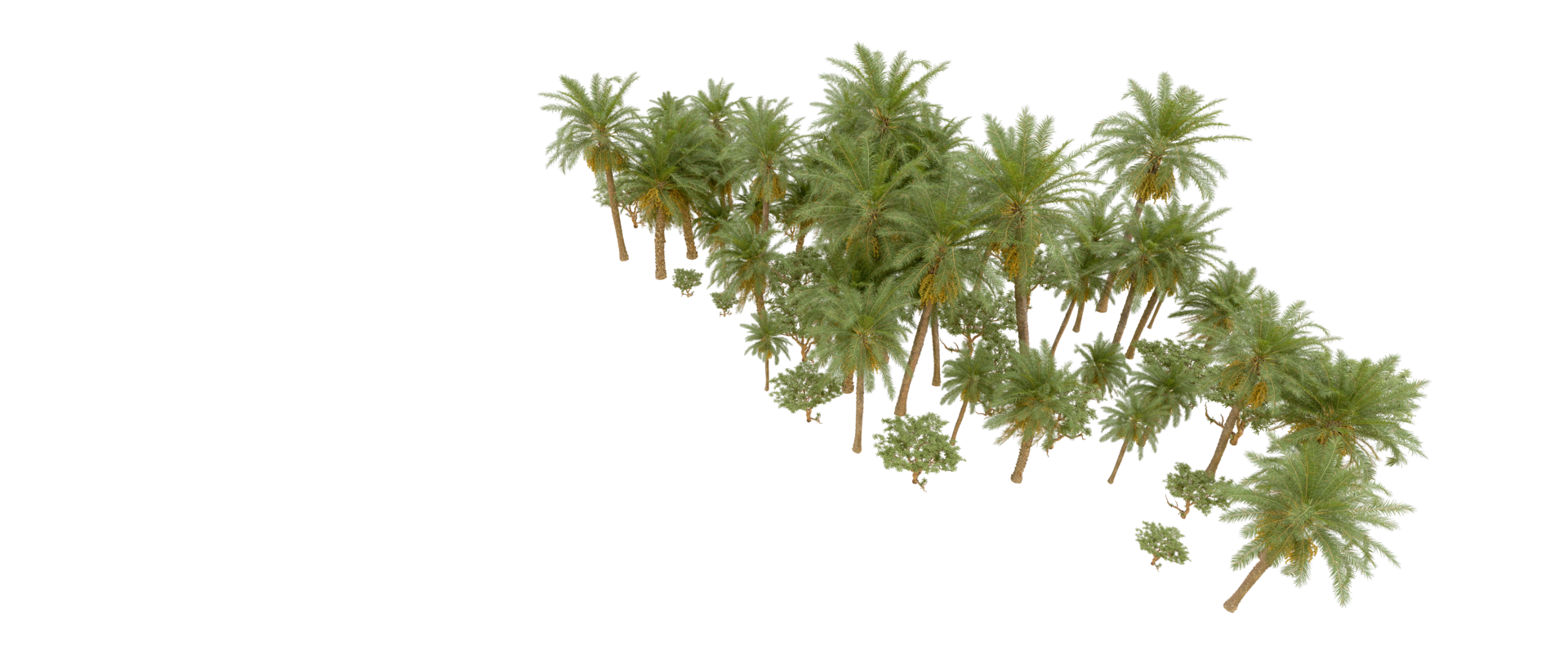 Green forest isolated on background. 3d rendering - illustration png